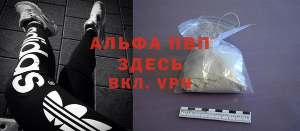 PSILOCYBIN Аркадак