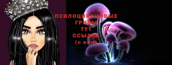 винт Арсеньев