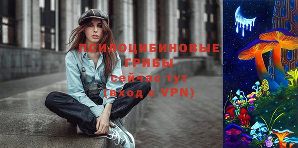 винт Арсеньев