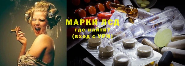 PSILOCYBIN Аркадак