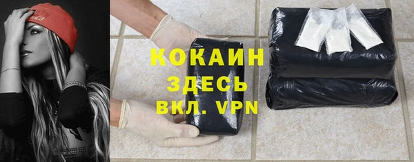 винт Арсеньев